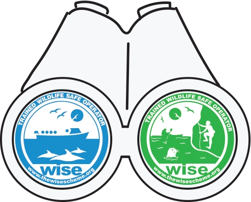1549-wisebinostrans-1769610613697.png